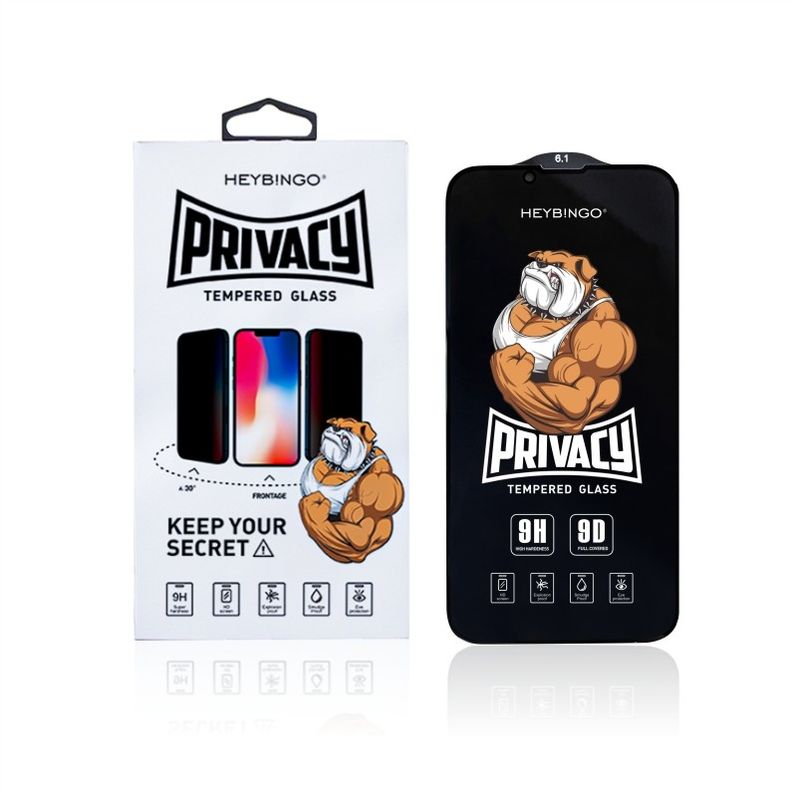 9H Phone Tempered Glass Privacy Anti Shock Anti Explosion
