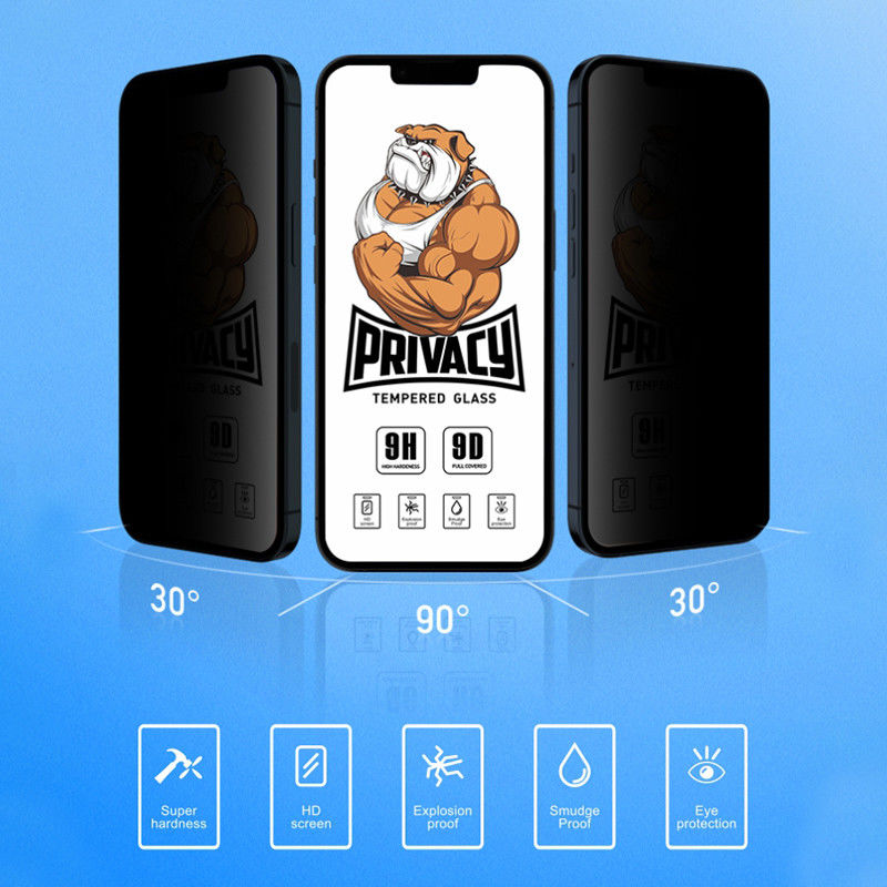 Anti Spy Full Glue Mobile Phone Privacy Screen Protector For Iphone 13 Pro Max